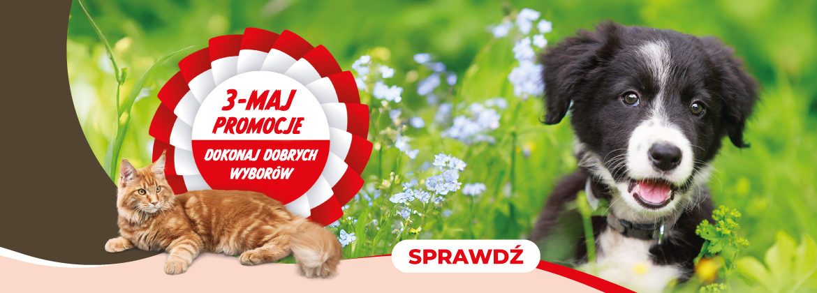 3 maj Promocje - maj 2025